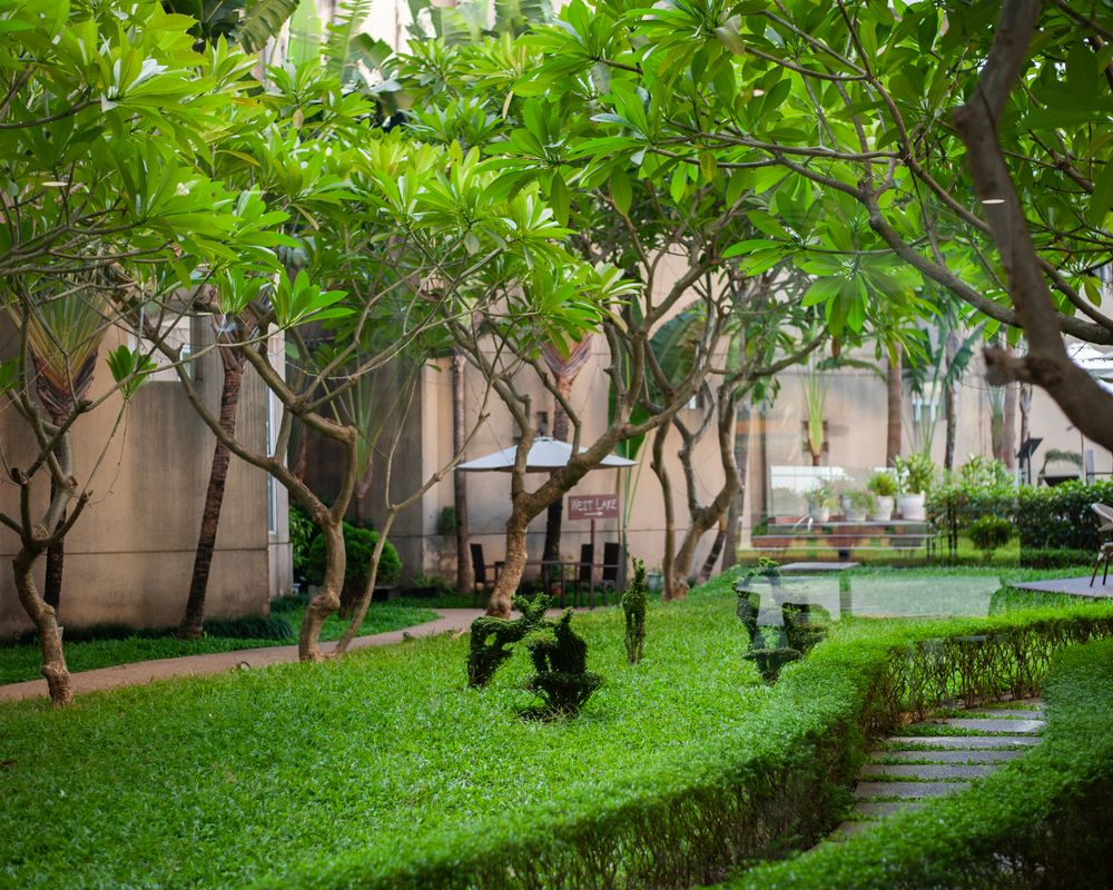 Well maintained garden border and lawn